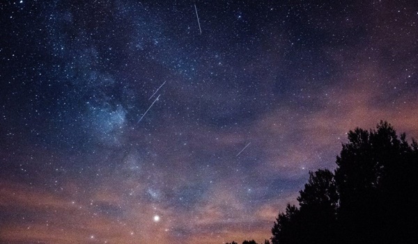 Cata-de-estrellas-Valencia